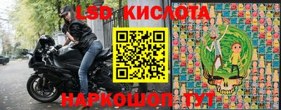 шишки Бийск