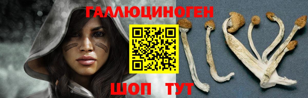 Галлюциногенные грибы прущие грибы Кострома