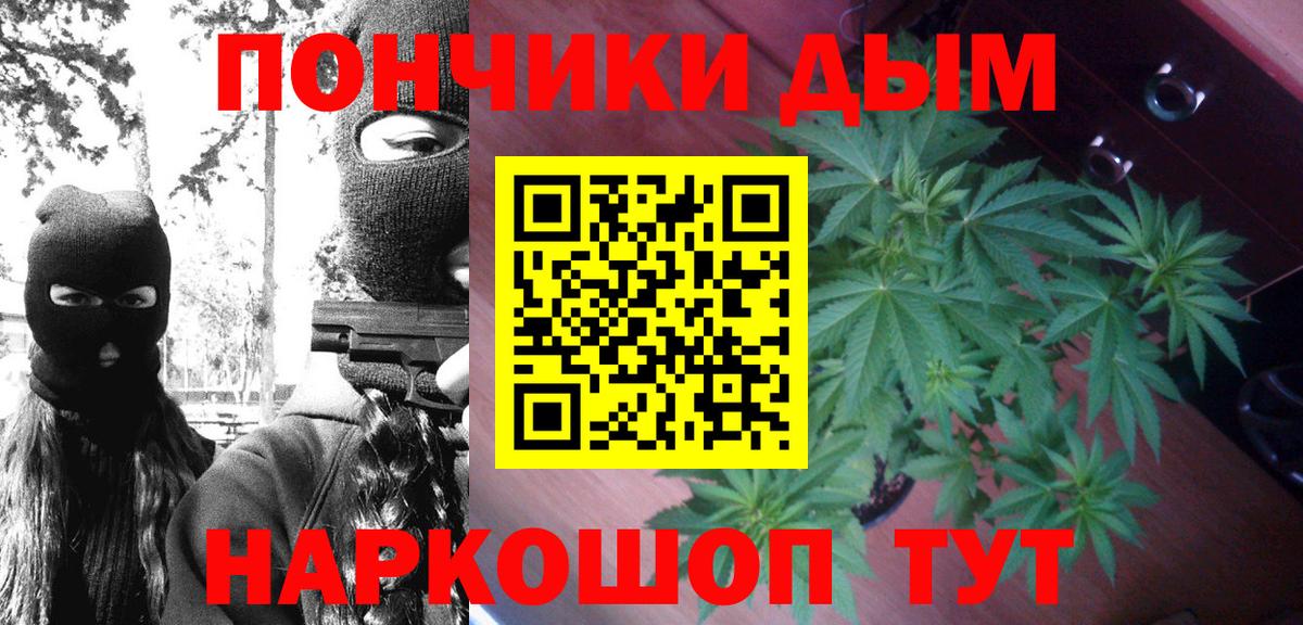 Бошки Шишки ГИДРОПОН  Канабис LSD WEED  Вход с VPN  Кострома  Марихуана планчик 